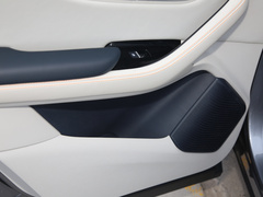 2021款 EV 旗舰型