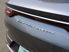 2021款 EV 旗舰型