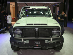 2021款 2.0T 风林铁骑