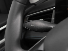 2021款 1.5L 自动铂金版