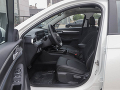 2021款 1.5L 自动铂金版