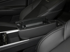 2021款 PLUS 1.5T 自动巡航版