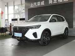 2021款 300TGI 自动Ali国潮豪华荣麟版