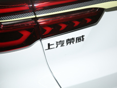 2021款 300TGI 自动Ali国潮豪华荣麟版