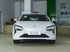 2021款 500km 闪耀青春 长续航版