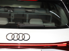 2022款 40 e-tron 星耀型 锦衣套装