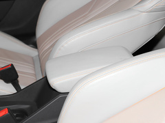 2022款 40 e-tron 星耀型 锦衣套装
