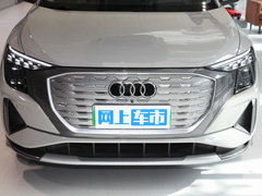 2022款 40 e-tron 星耀型 锦衣套装