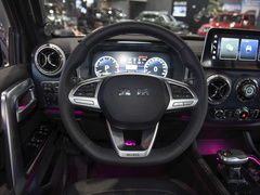 2021款 2.0T 自动四驱环塔冠军版