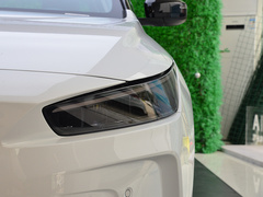2021款 Pro 臻享高能续航版 600KM A600魔方版