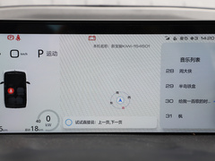 2021款 设计师 三元锂 