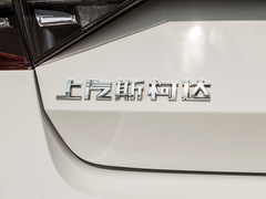 2021款 TSI330 DSG豪华版