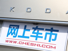 2021款 TSI330 DSG豪华版