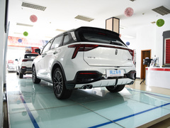 2021款 1.5T 自动劲享·豪华版