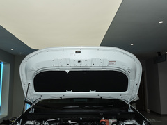 2021款 2.5L 两驱劲擎版 