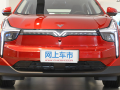2021款 Pro 500 行业定制版