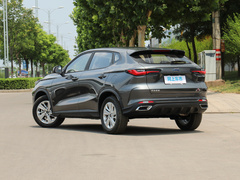 2021款 1.6L 手动豪华型