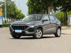 2021款 1.6L 手动豪华型