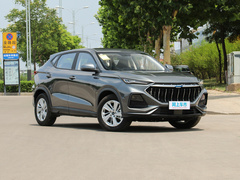 2021款 1.6L 手动豪华型