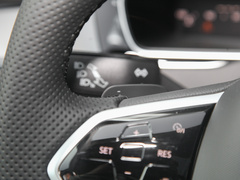 2023款 200万辆纪念版 330TSI DSG领先型
