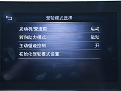 2021款 2.0T 进享运动版