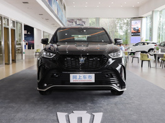 2021款  2.5L HEV两驱精英版