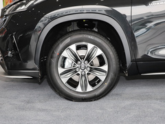 2021款  2.5L HEV两驱精英版