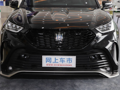 2021款  2.5L HEV两驱精英版
