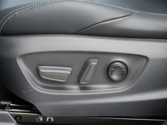 2021款 双擎 2.0L E-CVT尊贵版
