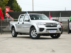 2021款 2.0T柴油两驱超惠型大双排国VI GW4D20M