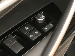 2021款 2.0L 尊贵版