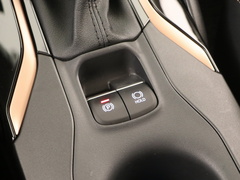 2021款 2.0L 尊贵版