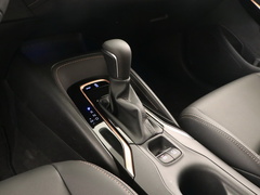 2021款 2.0L 尊贵版
