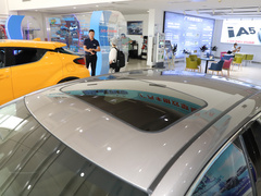 2021款 2.0L 尊贵版