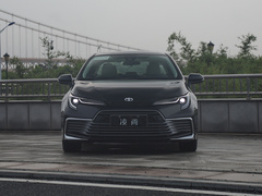 2021款 2.0L 尊贵版