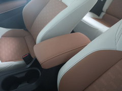 2021款 2.0L 尊贵版
