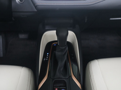 2021款 2.0L 尊贵版