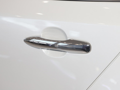 2021款 2.0L 尊贵版