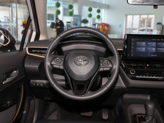 2021款 2.0L 尊贵版