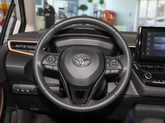 2021款 2.0L 尊贵版