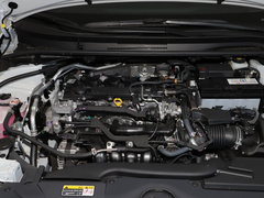 2021款 2.0L 尊贵版