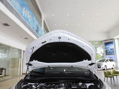 2021款 2.0L 奕享版