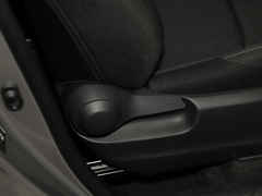 2021款 双擎 2.0L 奕享版