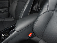 2021款 双擎 2.0L 奕驰版