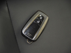 2021款 双擎 2.0L 奕驰版