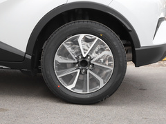 2021款 双擎 2.0L 奕炫版