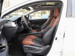 2021款 双擎 2.0L 奕炫版