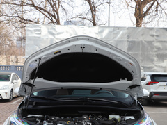 2021款 双擎 2.0L 奕炫版