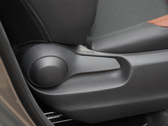 2021款 双擎 2.0L 奕炫版