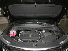 2021款 2.0L 自动两驱舒适版